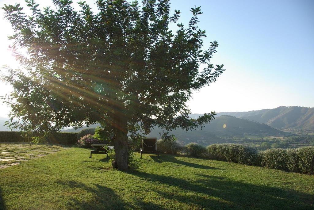 הוילה מונטקוריצ'ה Sulle Onde Della Collina מראה חיצוני תמונה